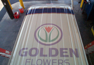 goldenflowers